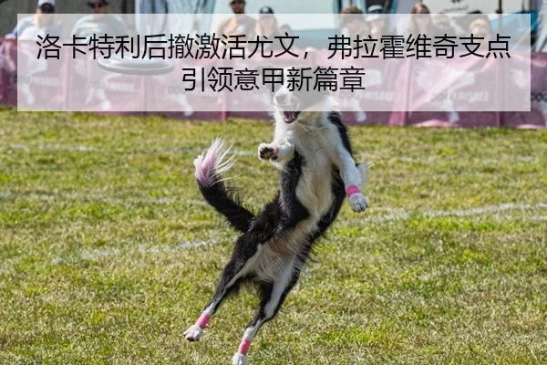 luo-ka-te-li-hou-che-ji-huo-you-wen-fu-la-huo-wei-qi-zhi-dian-yin-ling-yi-jia-xin-pian-zhang-2-355.jpg